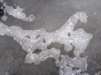 Grauweiße Eisfläche mit heller Eisfigur in Form eines Fabelwesens